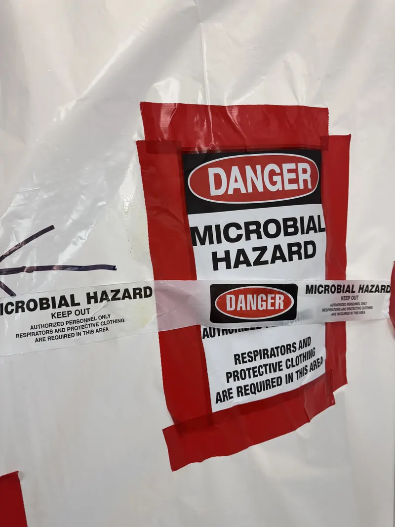 Mold Removal & Remediation Albany NY